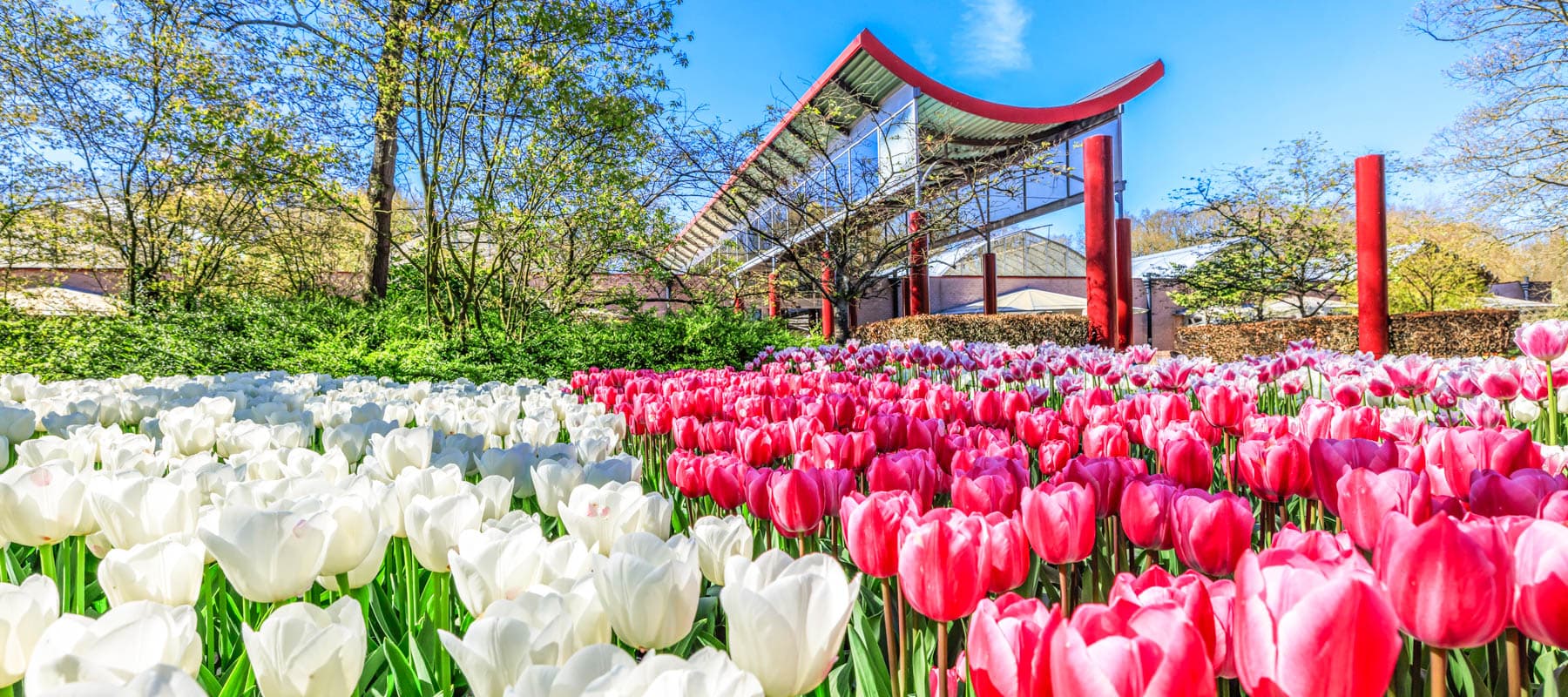 2026 庫肯霍夫花園：全球最大鬱金香盛宴，預售票開賣倒數！ | 致旅程