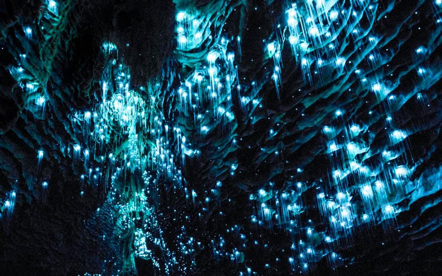 懷特摩螢火蟲洞