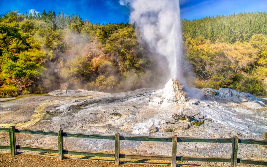 園區內的間歇泉