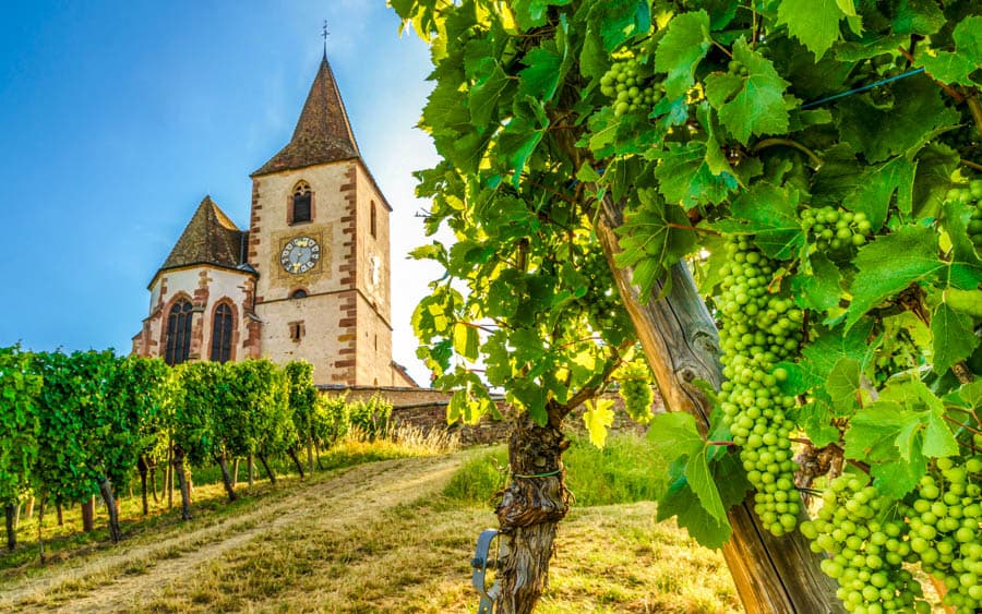 法國亞爾薩斯雷司令葡萄酒產區