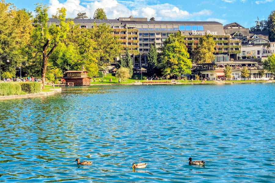 斯洛維尼亞-布雷德湖-晴天旅遊