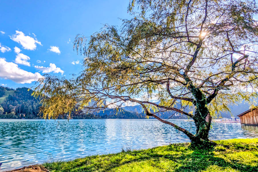 斯洛維尼亞-布雷德湖-晴天旅遊