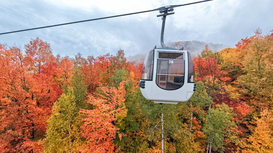 川普朗景觀纜車俯瞰滿山遍野紅葉
