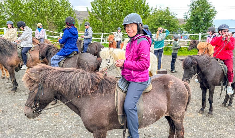 第一次騎冰島馬