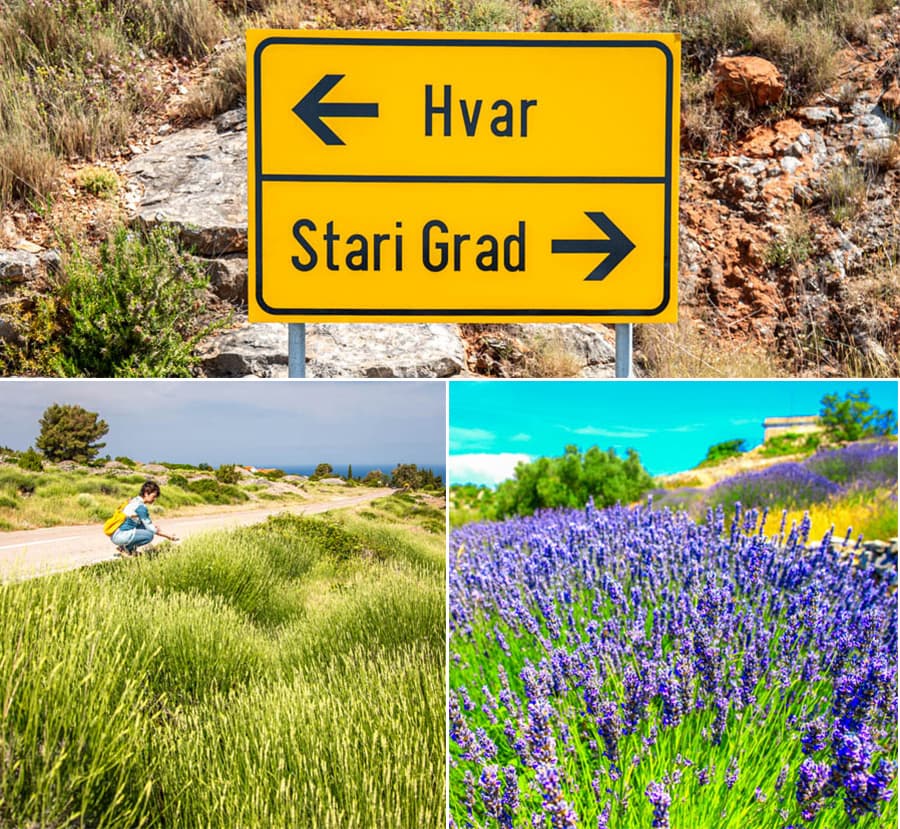 赫瓦島又名薰衣草島，若在花季前往，漫山遍野的紫色十分夢幻