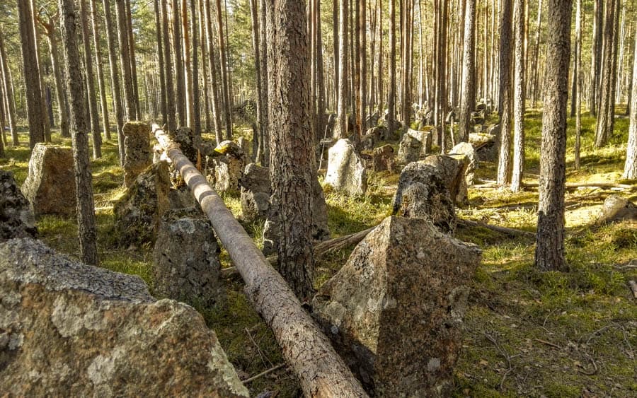 芬蘭奧納海姆防線