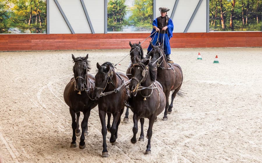 匈牙利人曾是馬背上的民族