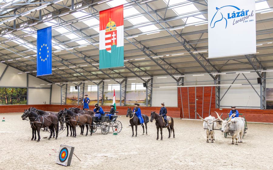 布達佩斯Lázár Lovaspark馬場