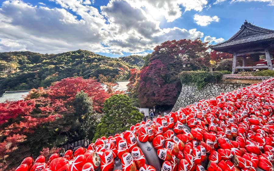 晴天旅遊神戶馬拉松旅跑團