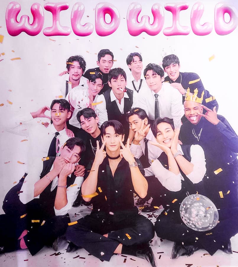 韓國WILD WILD 猛男秀