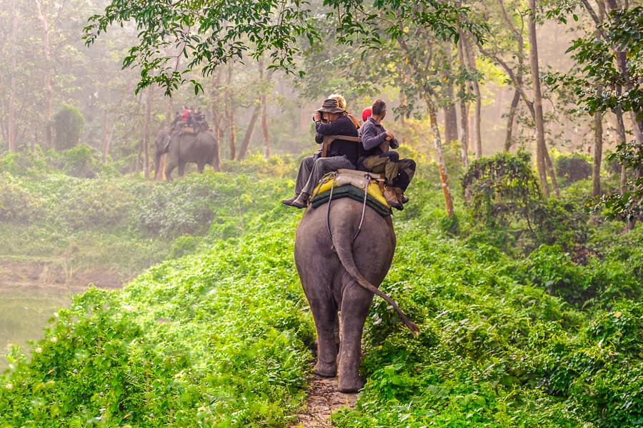 Chitwan National Park