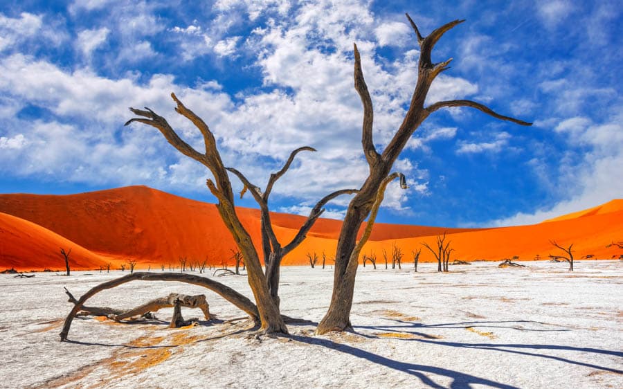 攝影聖地:納米比亞納米布沙漠中的死亡谷 (Deadvlei)