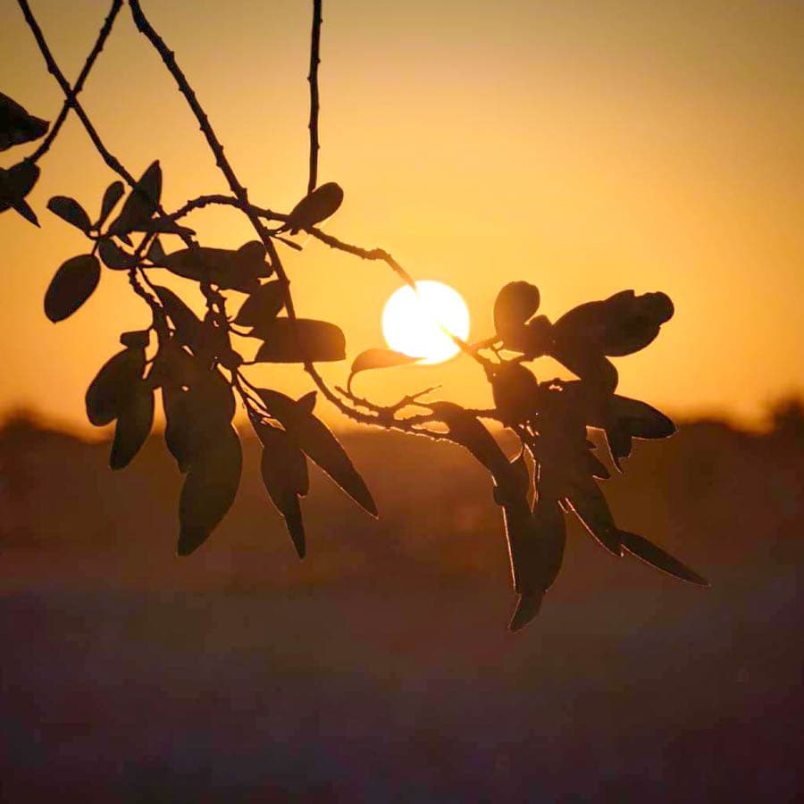 ETOSHA 國家公園水塘晚霞