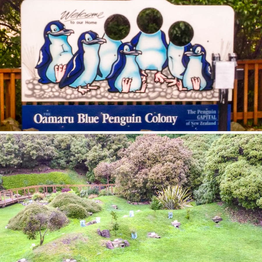 奧魯瑪藍企鵝保護中心