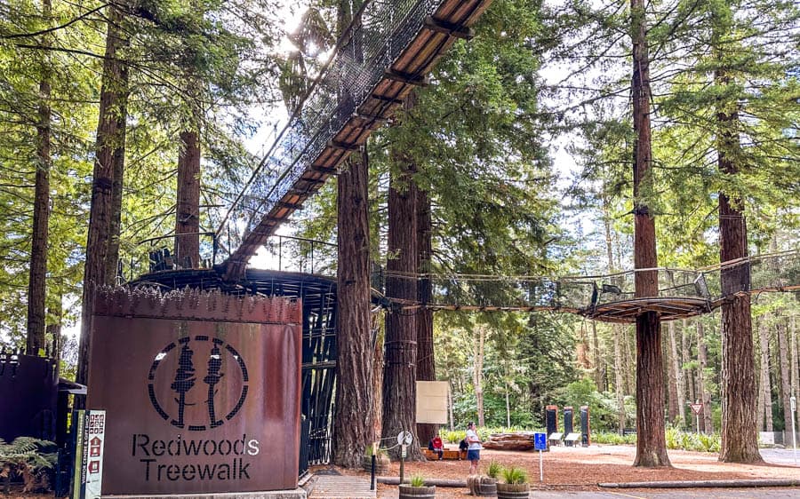 紅杉木-華卡雷瓦雷瓦森林