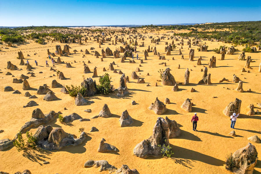 空拍機俯瞰萬千石林,如巨人棋盤。南邦國家公園(Nambung National Park)尖峰石陣(The Pinnacles)