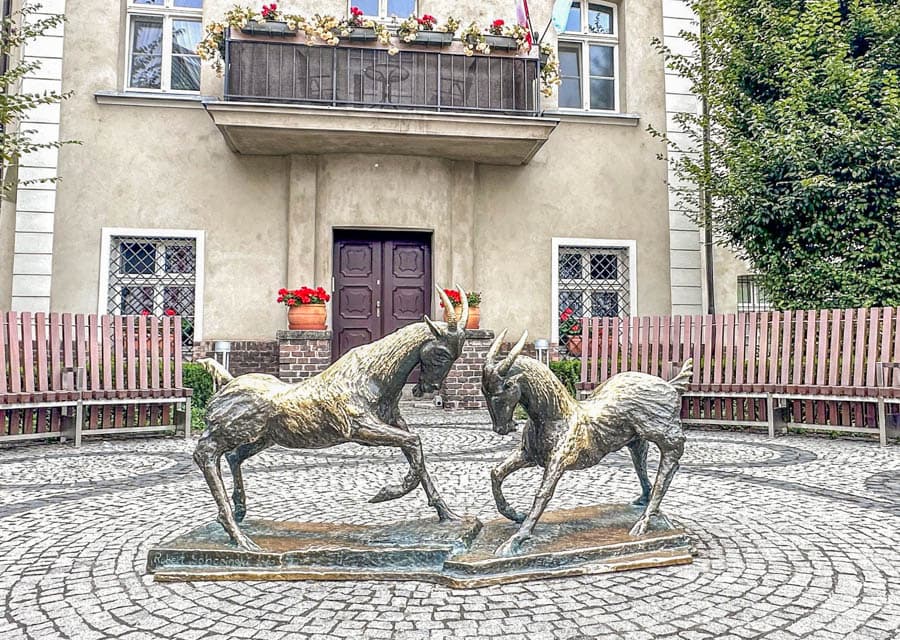 波蘭自助旅行:波茲南Kolegiacki廣場上的山羊雕塑