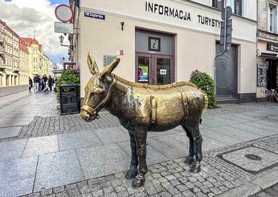波蘭自助旅行:托倫市政廳附近街角的驢子雕像