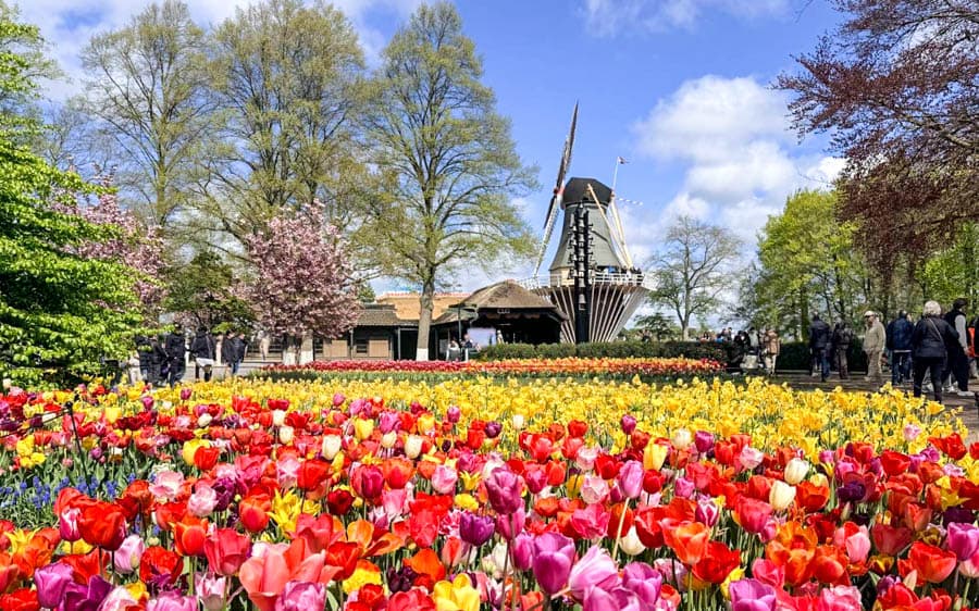 荷蘭庫肯霍夫花園(Keukenhof)