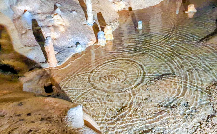 斯洛維尼亞世界遺產-波斯托伊那溶洞(Postojna Cave)