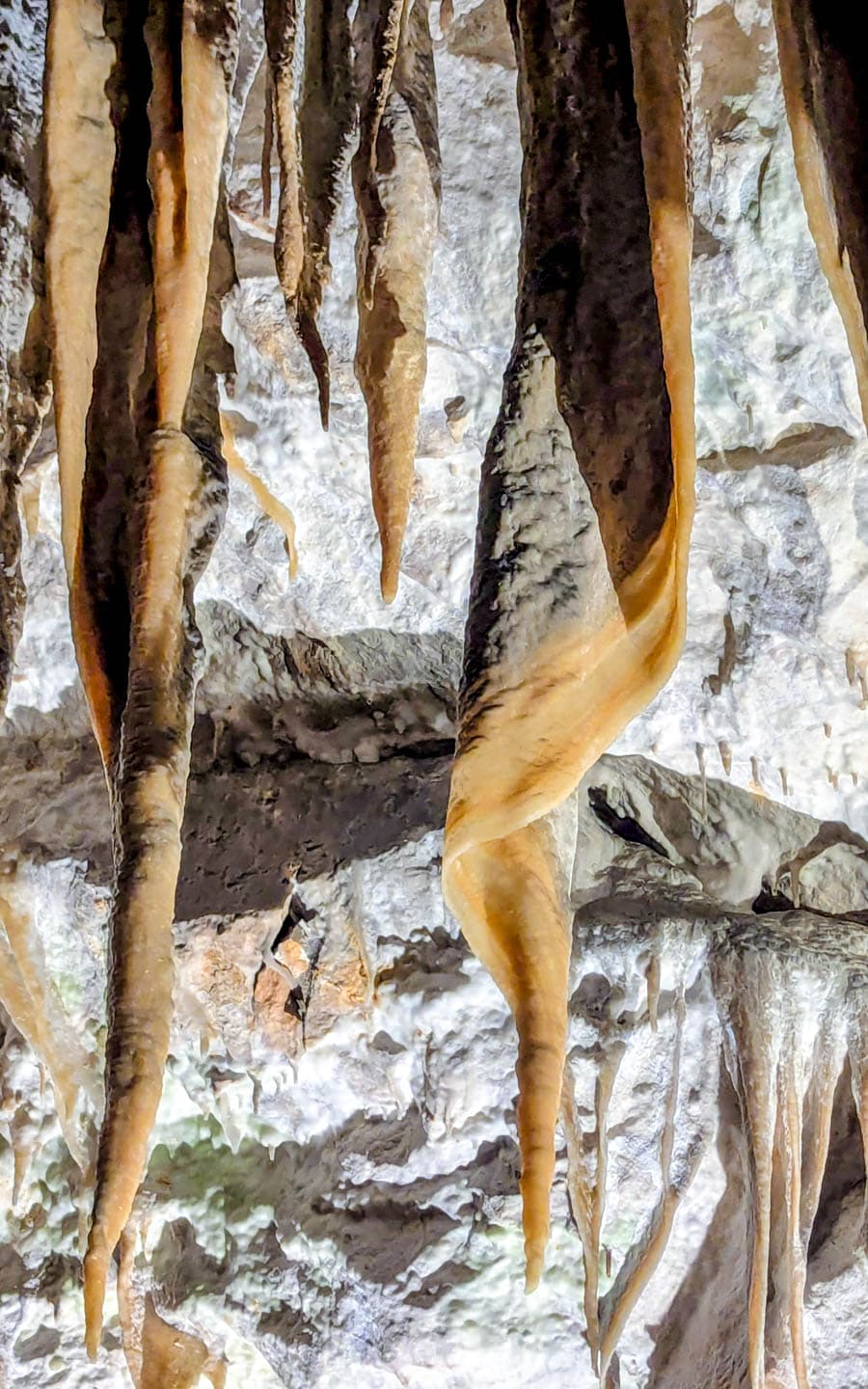 斯洛維尼亞世界遺產-波斯托伊那溶洞(Postojna Cave)