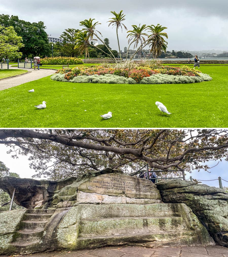 雪梨皇家植物園和麥奎里夫人石