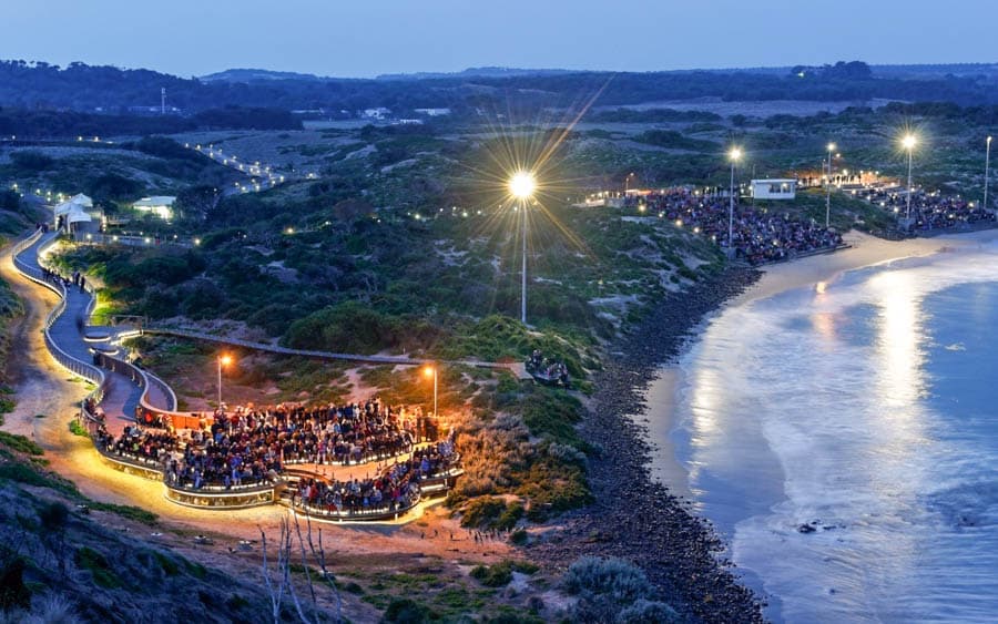 澳洲菲利浦島神仙企鵝觀景台