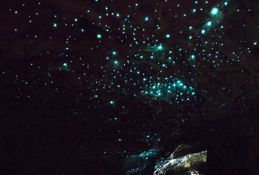 澳洲塔斯馬尼亞馬拉庫帕洞穴