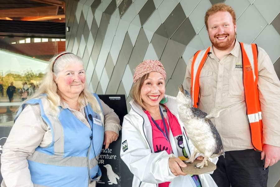 世界最小神仙企鵝標本