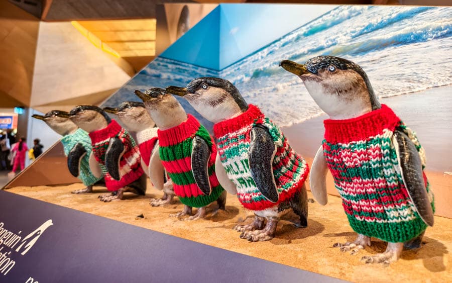 企鵝毛衣，以拯救被原油污染的企鵝