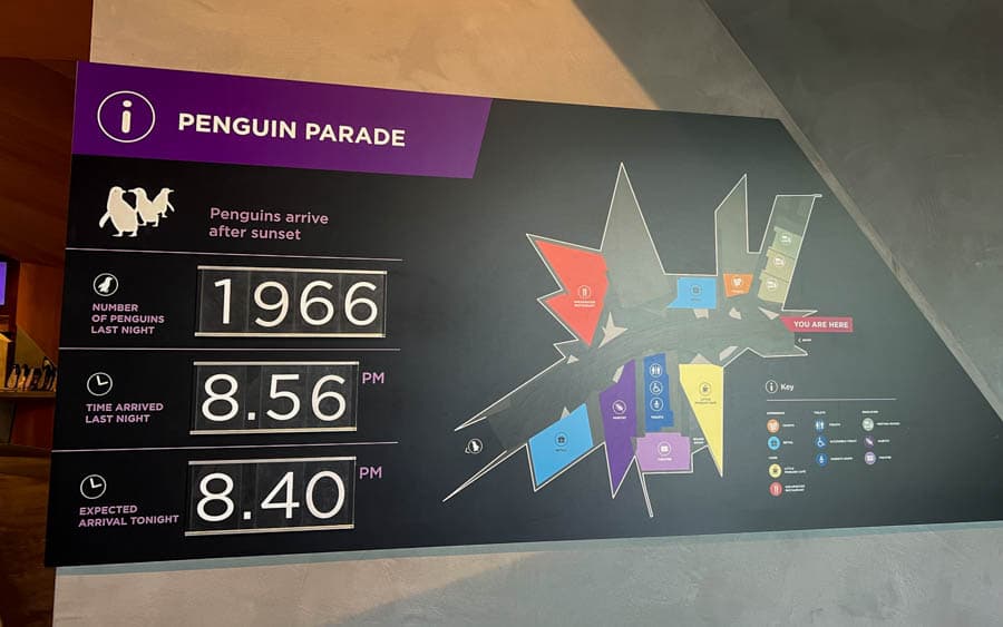 遊客中心提供每日企鵝上岸的資訊