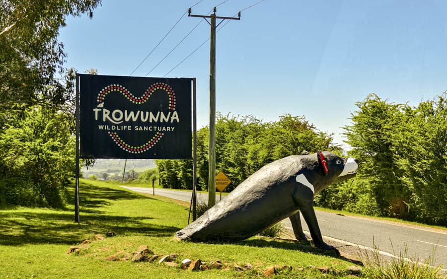 特羅旺那野生動物保護區,以袋獾的育種與復育計畫聞名於世