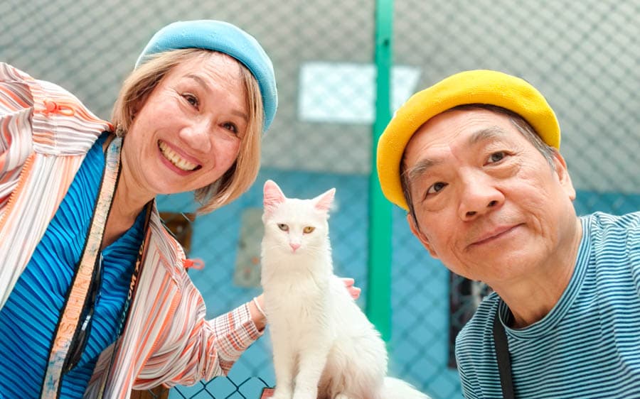 為了致敬凡貓傳奇的異色瞳,我們特別準備了「主視覺」穿搭