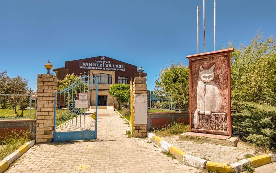 凡貓復育中心Van Cat Research Center