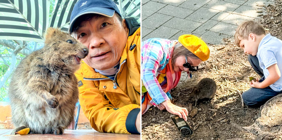 趴地自拍與短尾矮袋鼠合照