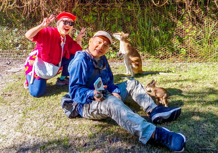 遊客與澳洲袋鼠母子合照